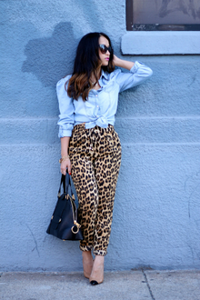 I Heard Your Were A Wild One, leopard, chambray