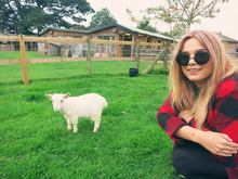 Farm 