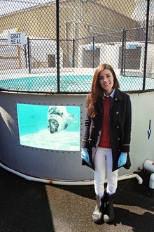 Save the Seals, girly